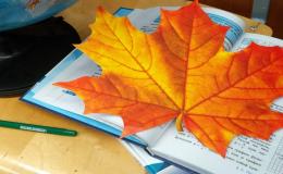 Поздравление с новым учебным годом 